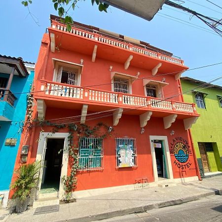 La Viduka Hostel Cartagène Extérieur photo